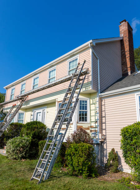 Best Hoarding Cleanup  in Amargosa Valley, NV